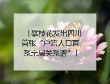 攀枝花发出四川首张“户籍人口直系亲属关系谱”